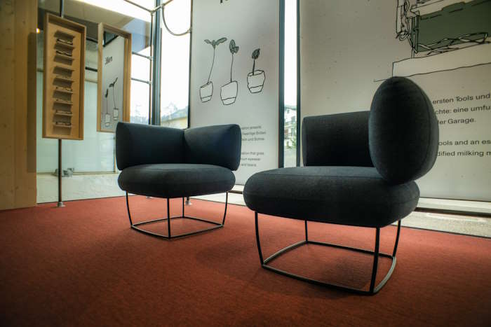 Zwei dunkelblaue Lounge-Sessel auf rotem Teppich in einem hellen, modernen Wartezimmer mit grafischen Wandelementen und natürlicher Beleuchtung.