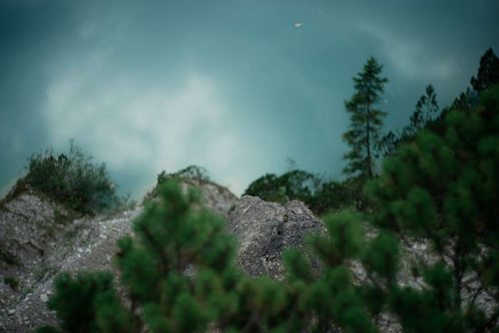 Nahaufnahme von grünen Tannen mit unscharfem Bergsee im Hintergrund