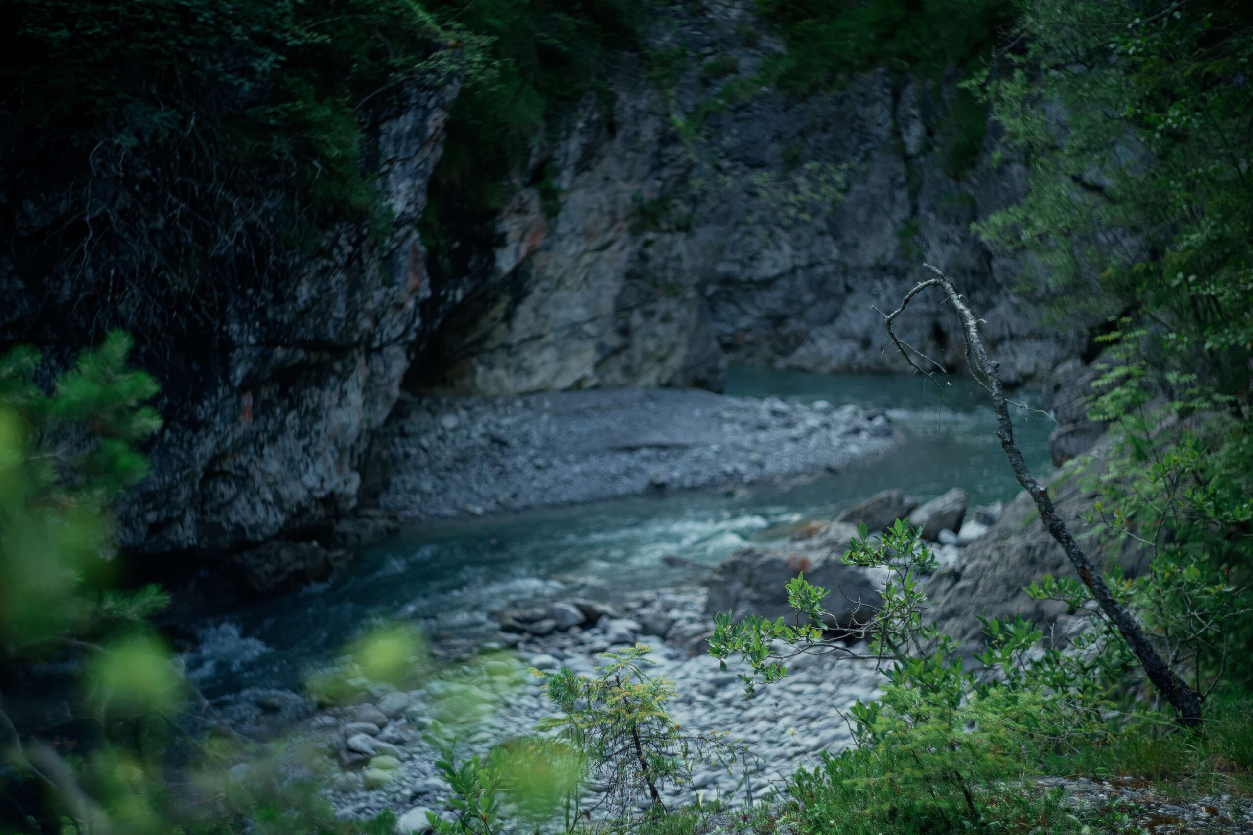 Klarer Fluss fließt durch felsige Schlucht, umgeben von dichtem Grün und ruhiger Natur.