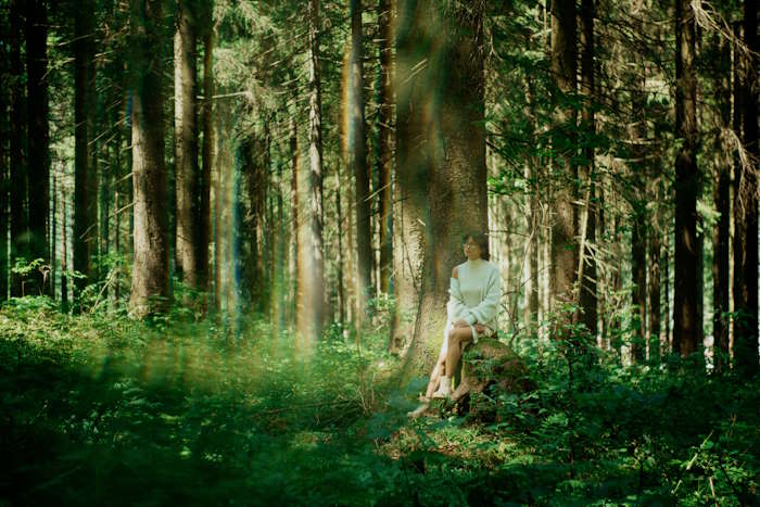 Eine Person sitzt auf einem Baumstumpf in einem grünen, dichten Wald; die Farbe Grün der umgebenden Pflanzen und Bäume verleiht dem Bild eine ruhige und erdende Atmosphäre.