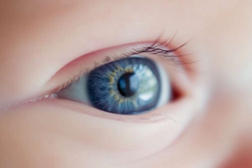 Wann Entwickelt Sich Die Augenfarbe Augenfarbe bei Babys - Wann verändert sie sich?